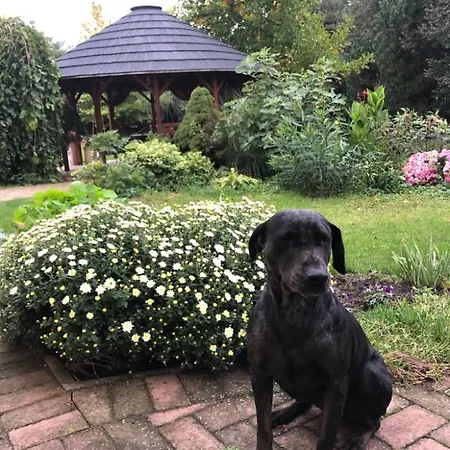 Apartmanove Pod Dubom Апартаменты