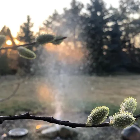 Apartmanove Pod Dubom Polny Kesov