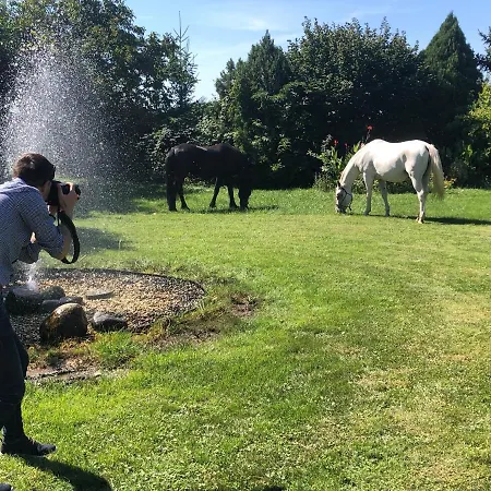 Apartment Apartmanove Pod Dubom *