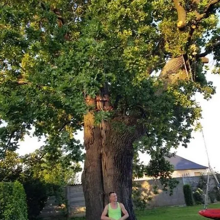 Apartmanove Pod Dubom Apartament *