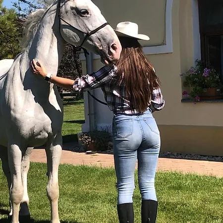 Апартаменты Apartmanove Pod Dubom