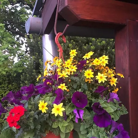 Апартаменты Apartmanove Pod Dubom