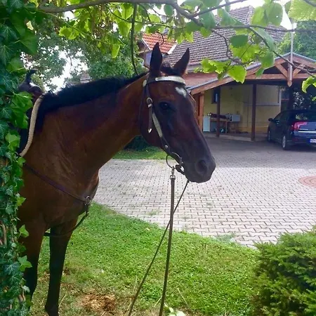 Apartmanove Pod Dubom Polny Kesov