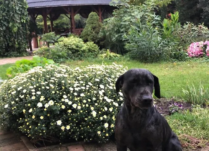 Apartmanove Pod Dubom Lägenhet