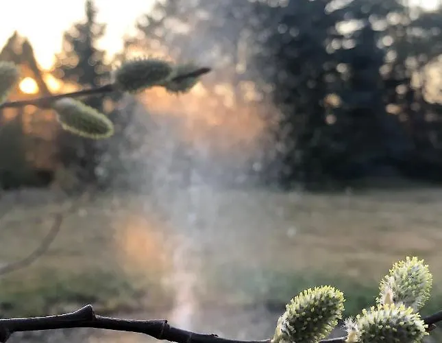 Apartmánové Pod Dubom Polny Kesov