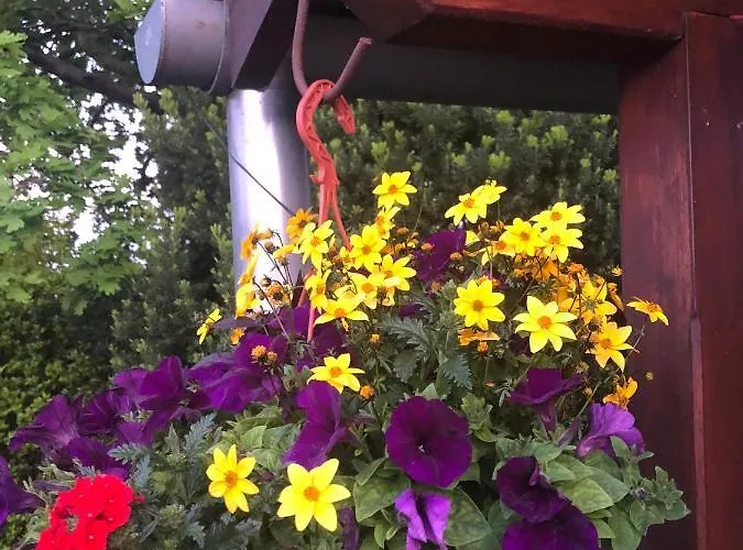 Apartmán Apartmánové Pod Dubom