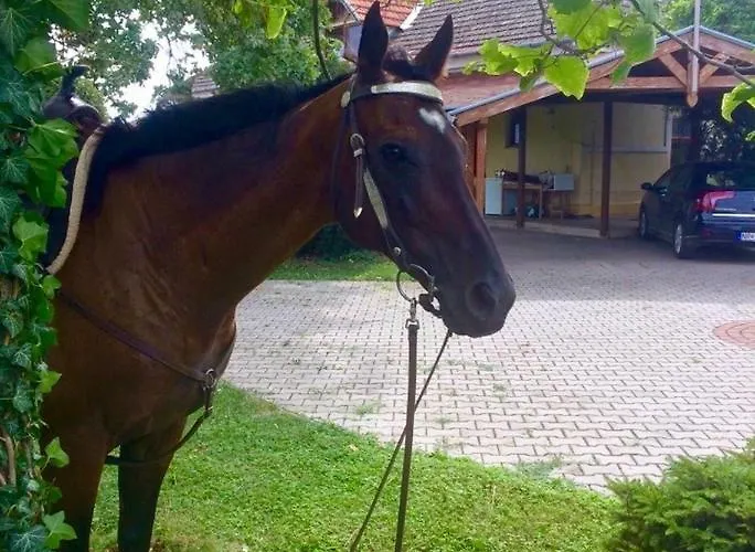 Apartmánové Pod Dubom Polny Kesov